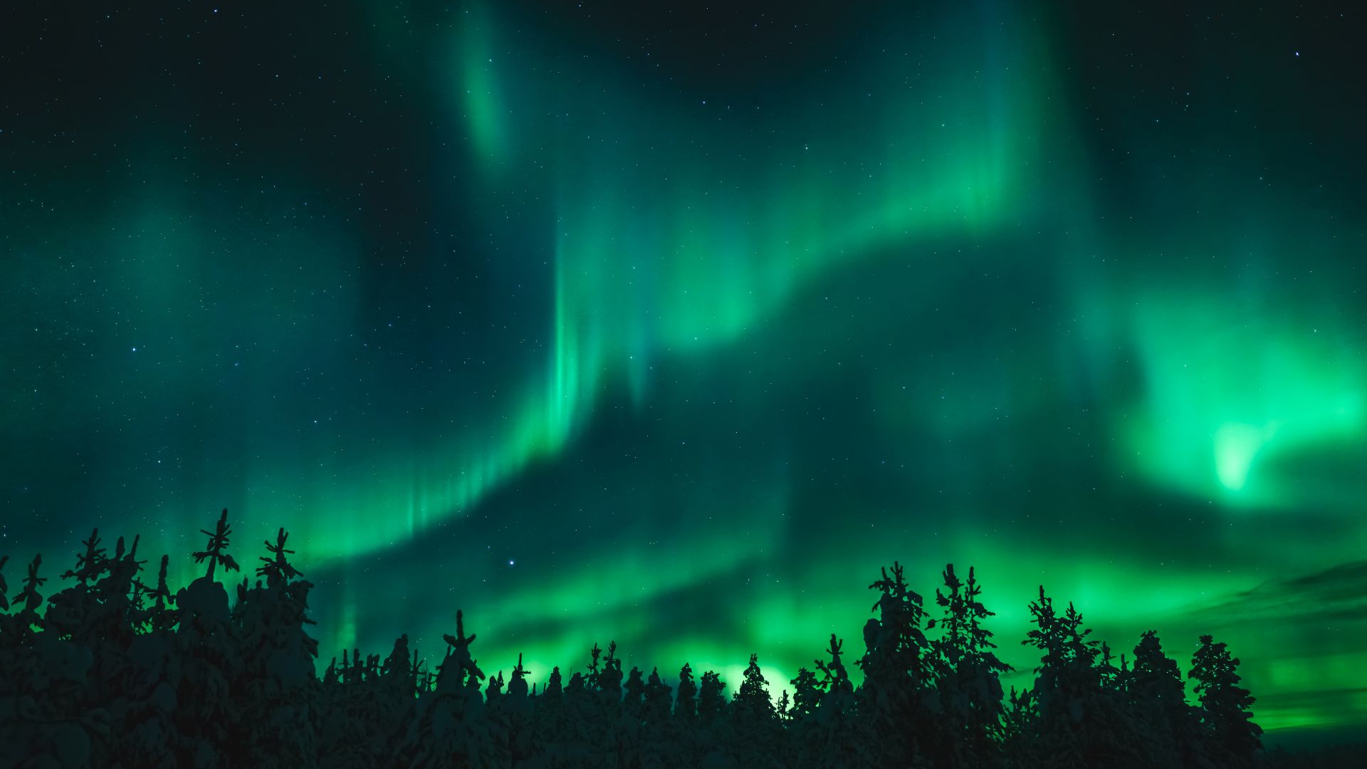 auroras boreales en laponia