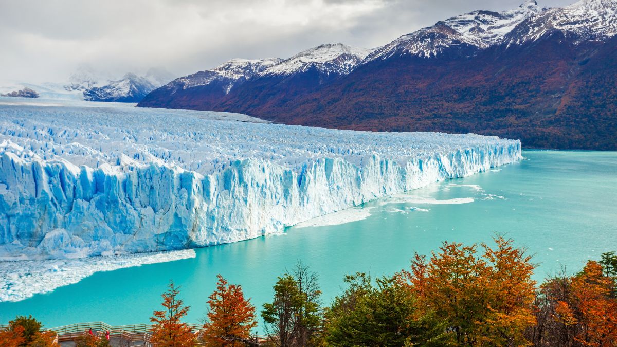 visitar calafate