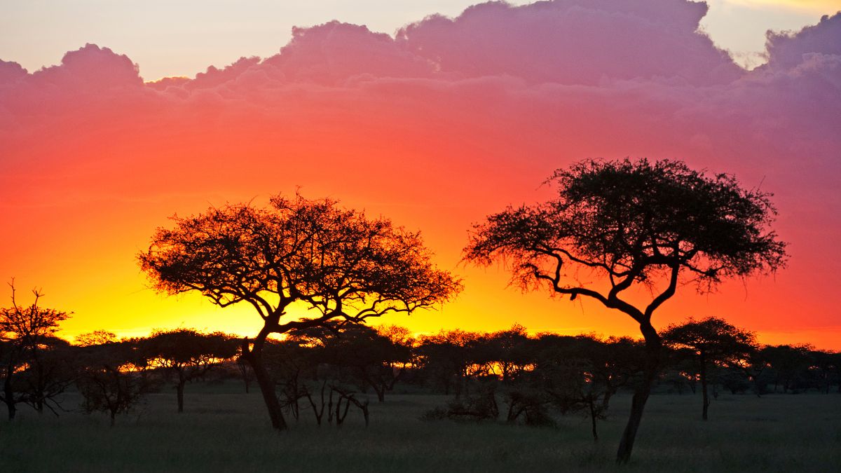 luna de miel en tanzania