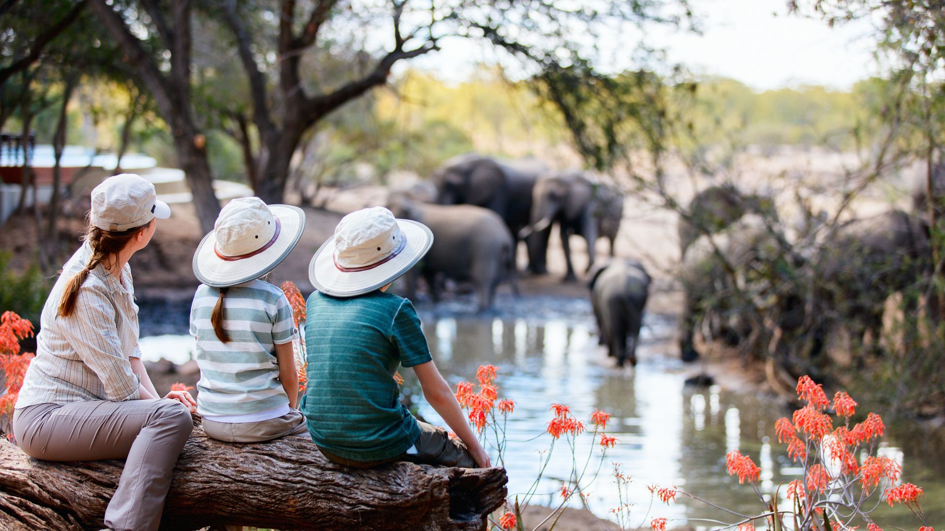 safari en familia