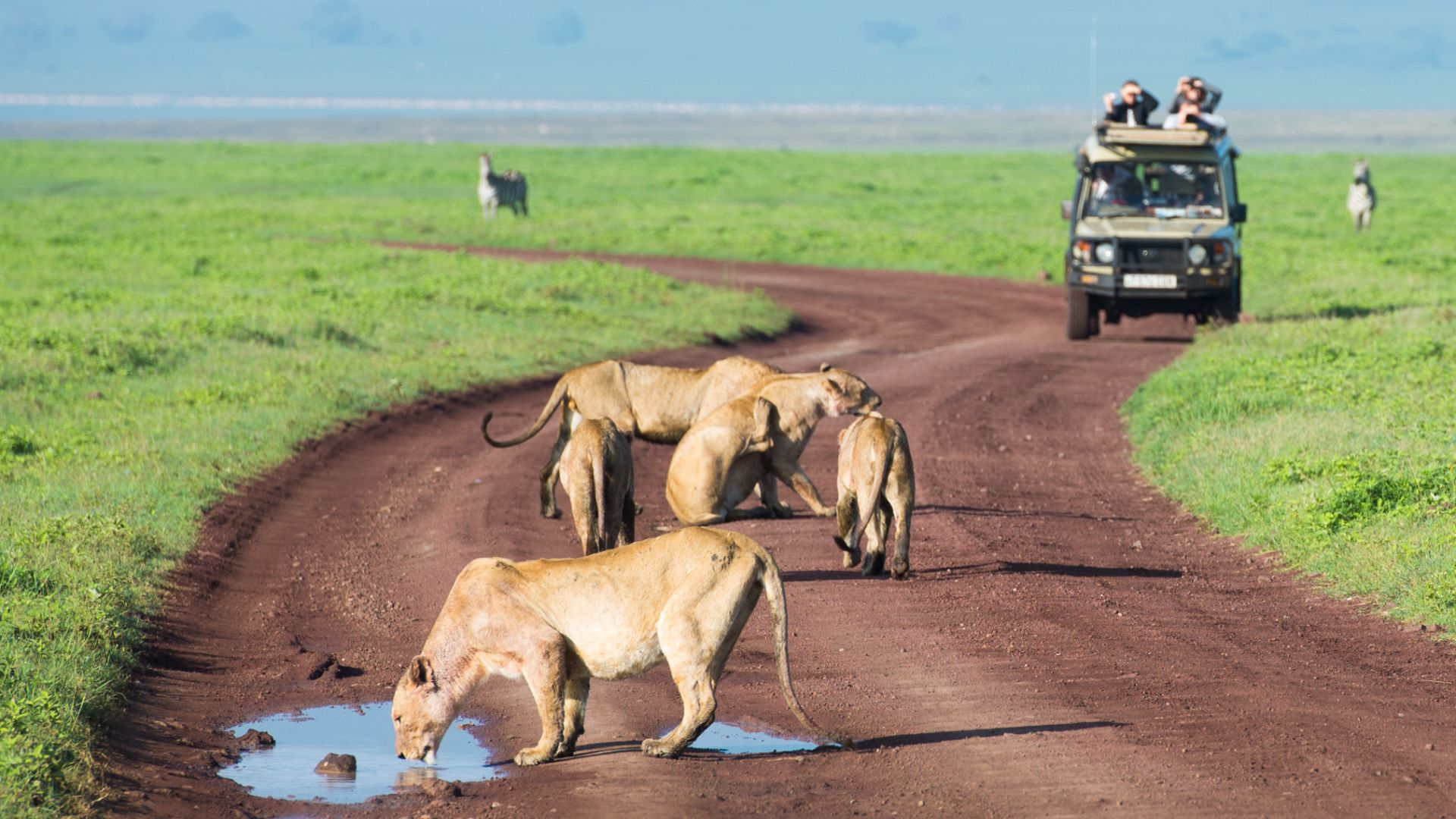 viajar a tanzania