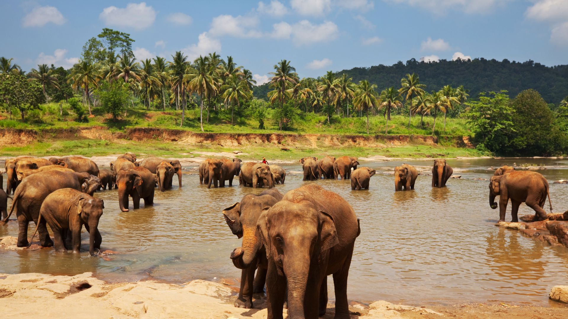 sri lanka con niños