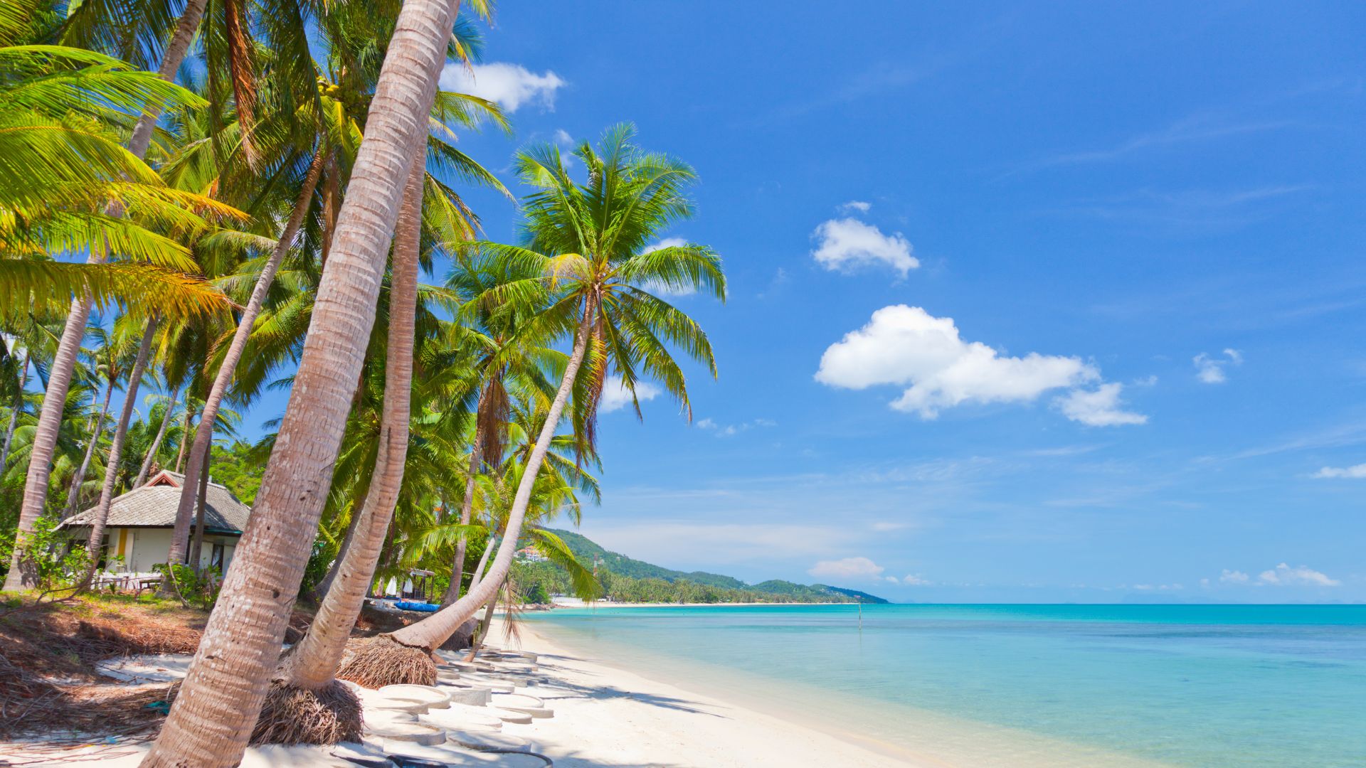 vietnam y playa