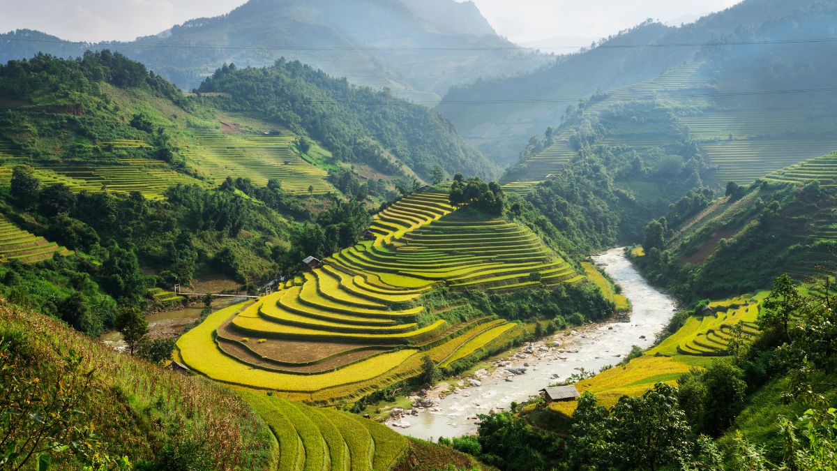 vietnam viajar sola