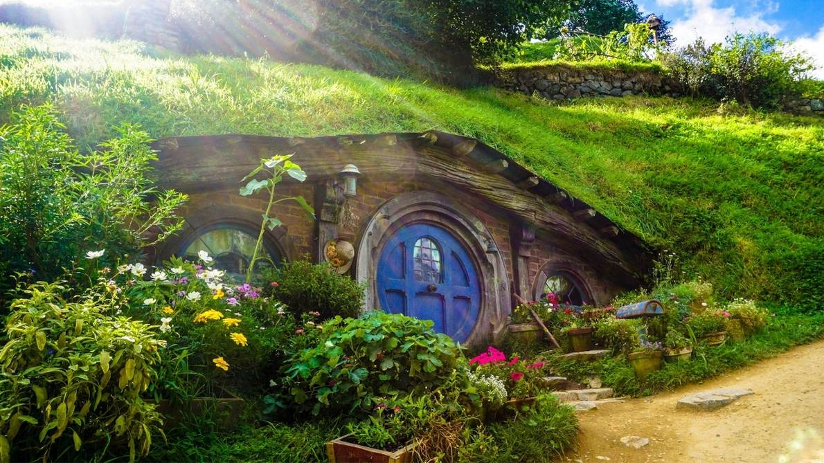 nueva zelanda solo