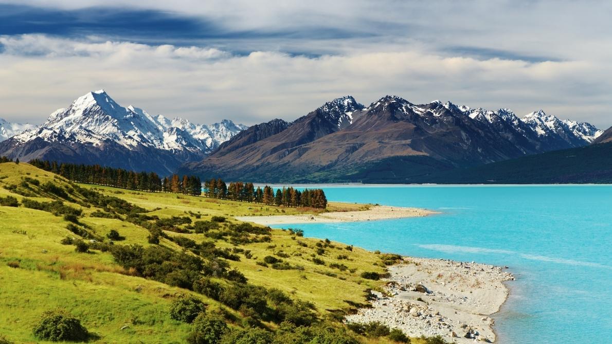 viaje sin acompañante a nueva zelanda