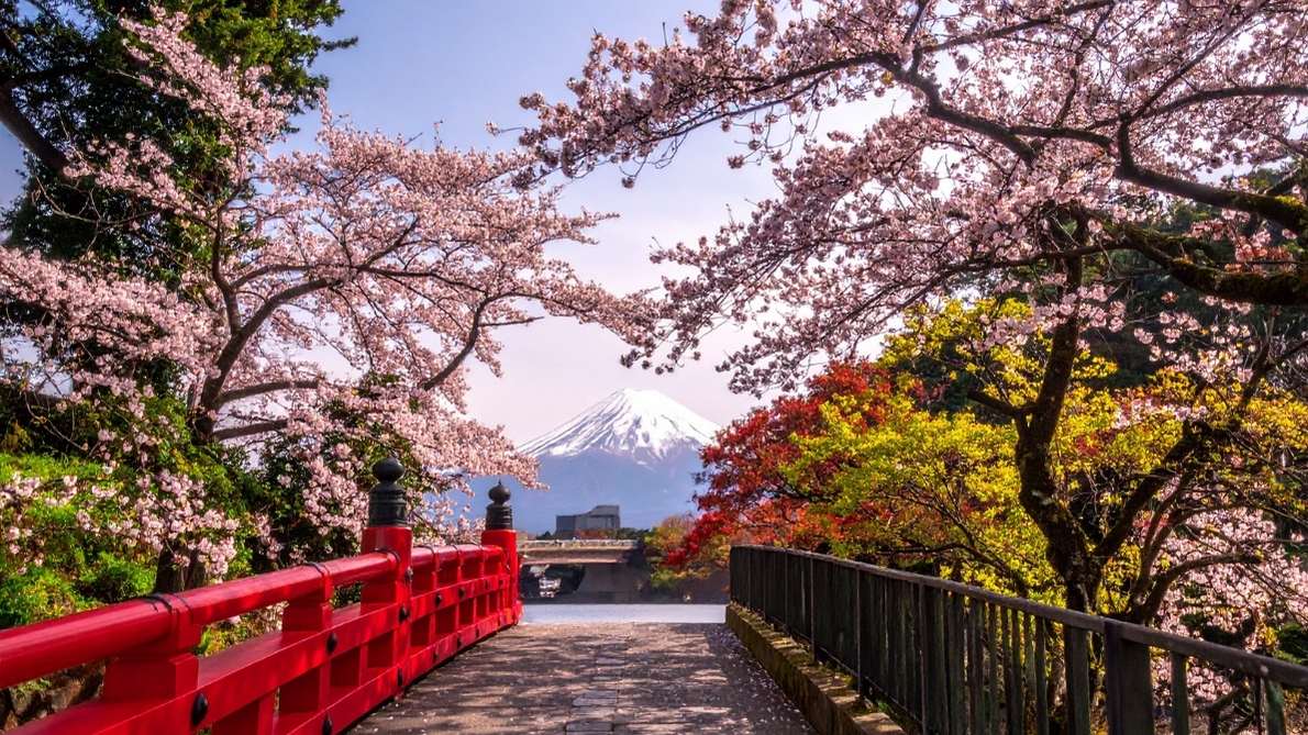 viajar sola a japon