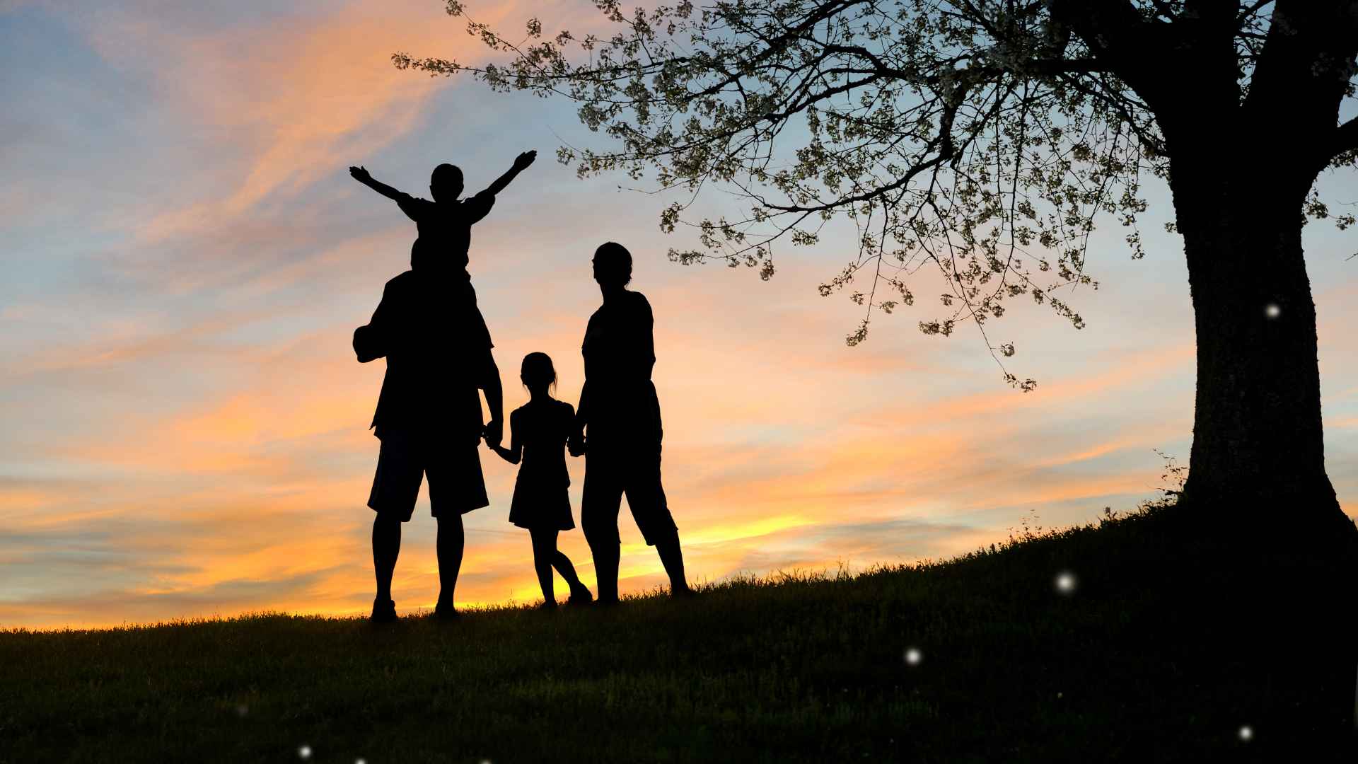 viaje en familia
