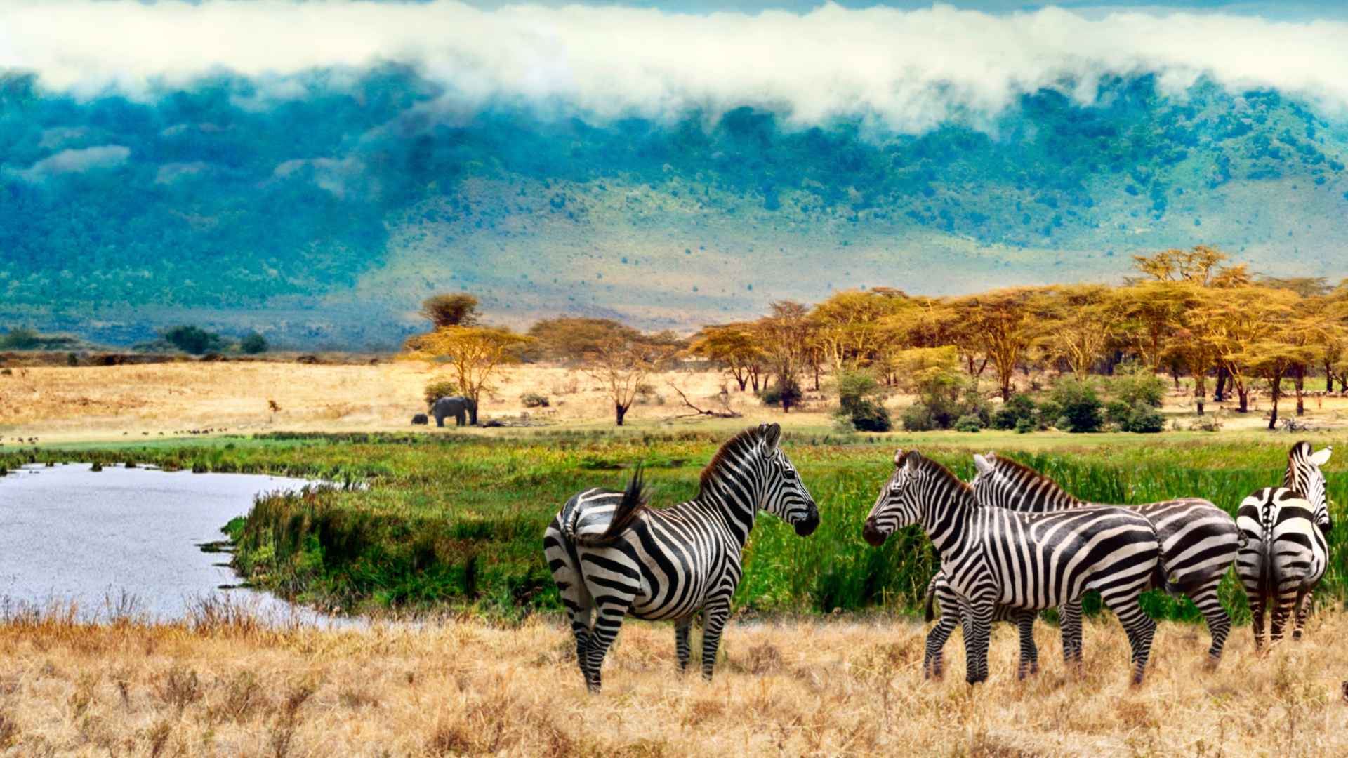 tanzania con niños