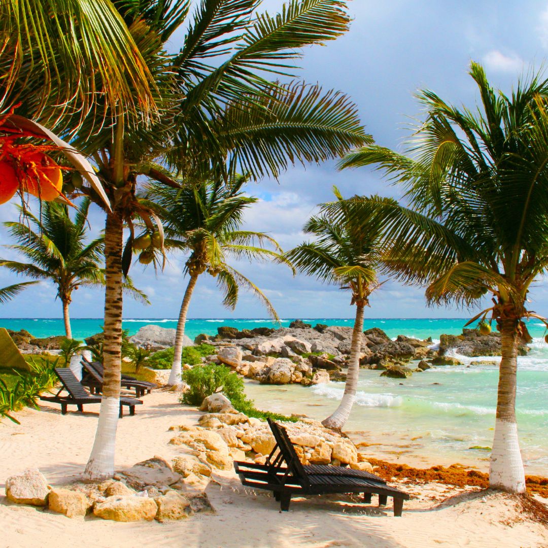 MAURICIO LUNA DE MIEL