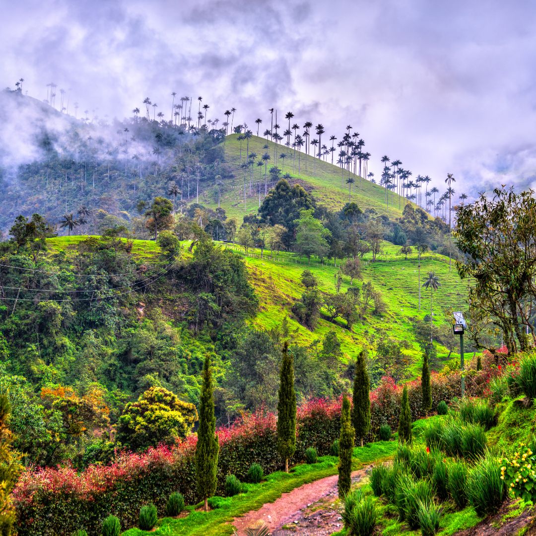 colombia luna de miel