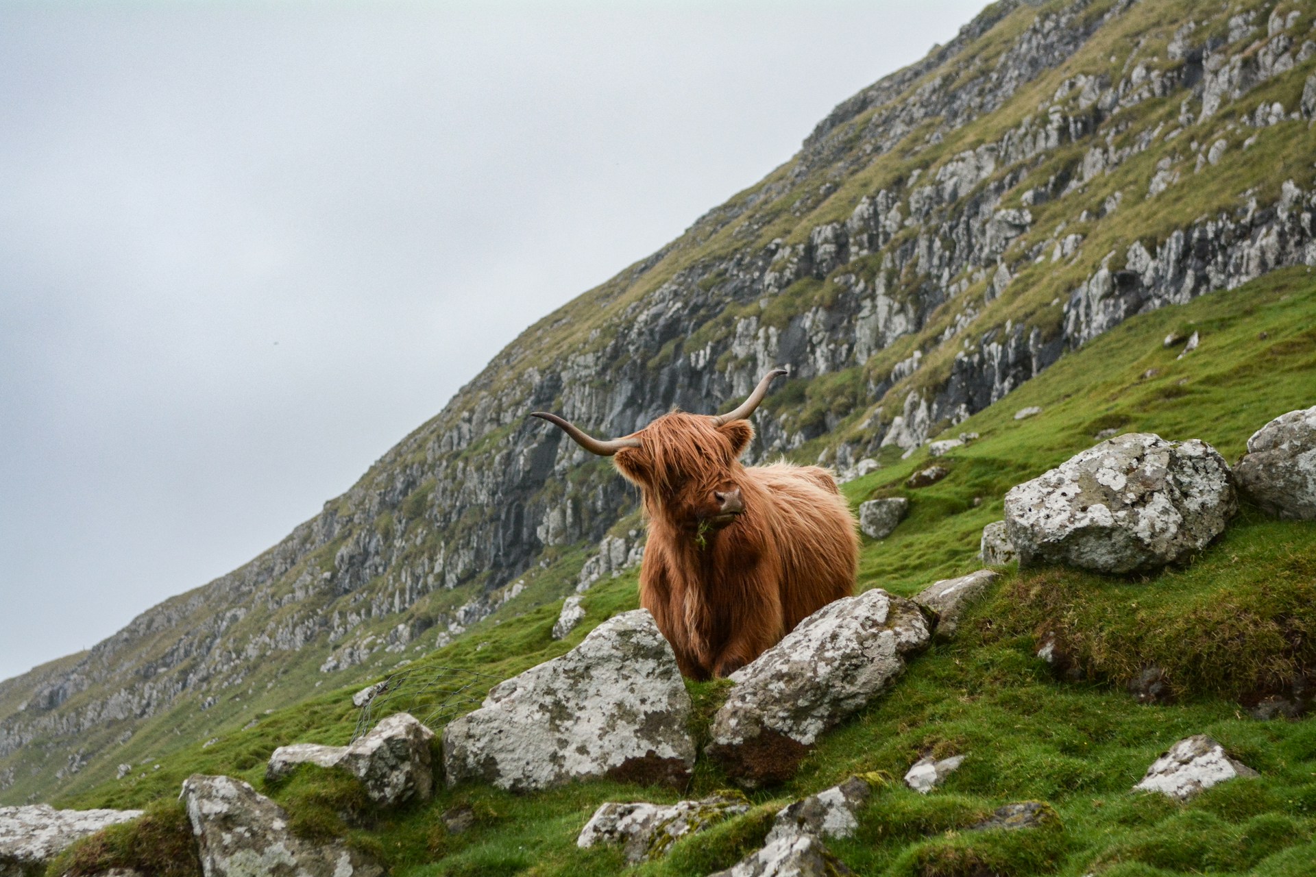 escocia