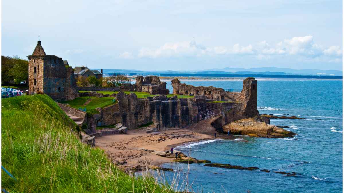 fort williams