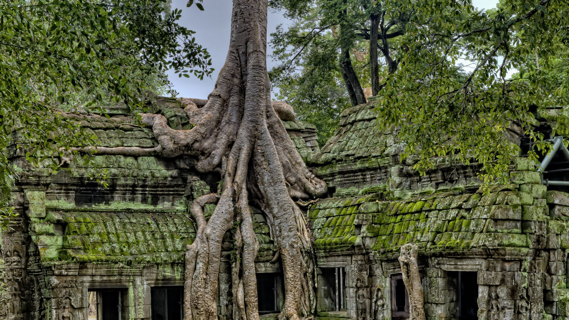 camboya