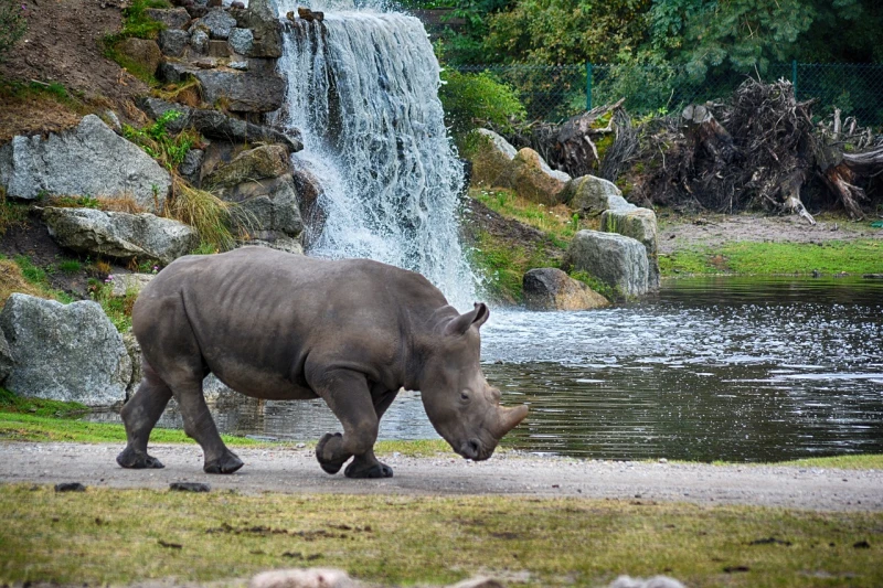 TANZANIA Y ZANZIBAR SALIDA DESDE VALENCIA